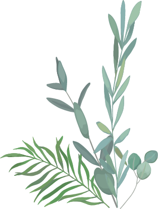 guasha-leaves-02